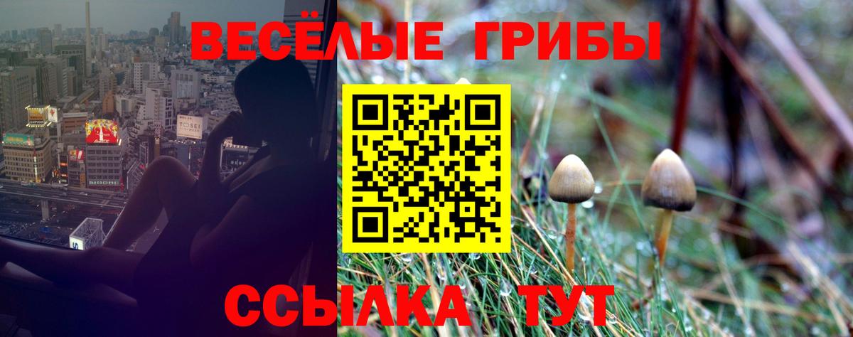 где купить наркотик  Вход с VPN  Галлюциногенные грибы ЛСД  Бутурлиновка  Галлюциногенные грибы Cubensis 